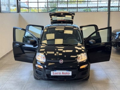 Fiat Panda 1.0 firefly hybrid s&s 70cv 5p.ti (2)