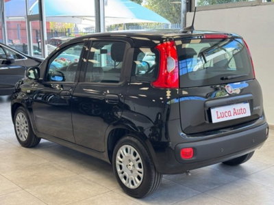 Fiat Panda 1.0 firefly hybrid s&s 70cv 5p.ti (6)