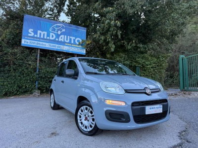 Fiat Panda 1.2 Easy usata