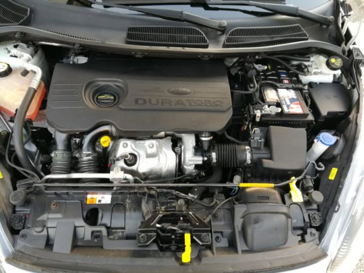 Ford Fiesta Plus 1.5 TDCi 75CV 5 porte (16)