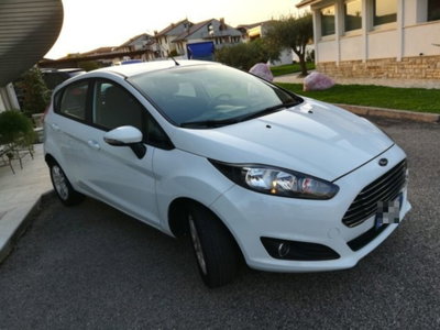 Ford Fiesta Plus 1.5 TDCi 75CV 5 porte (2)