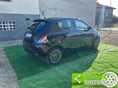 Lancia Ypsilon 1.2 69 CV 5 porte GPL Gold Plus (5)