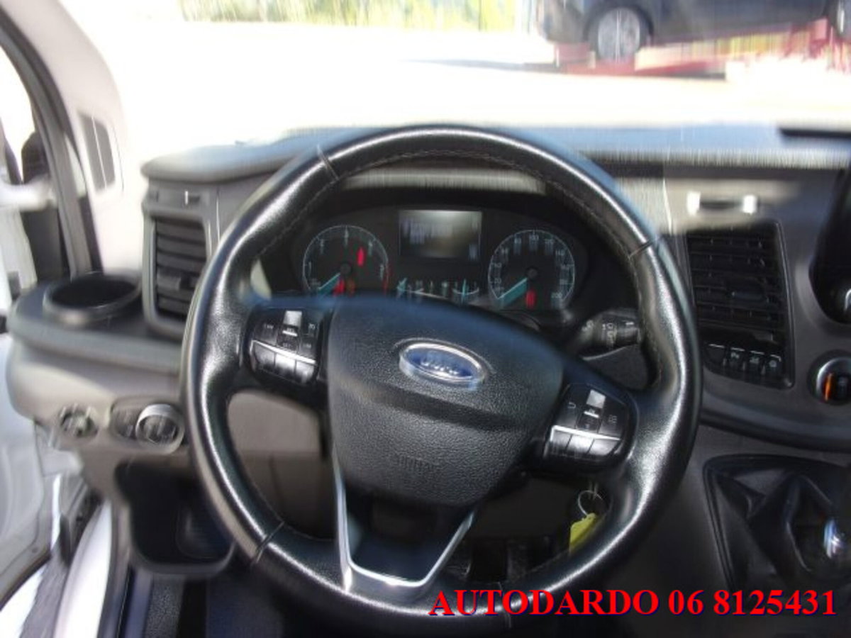 Ford Transit Furgone 290 2.0TDCi EcoBlue PM-TM Furgone Trend (18)