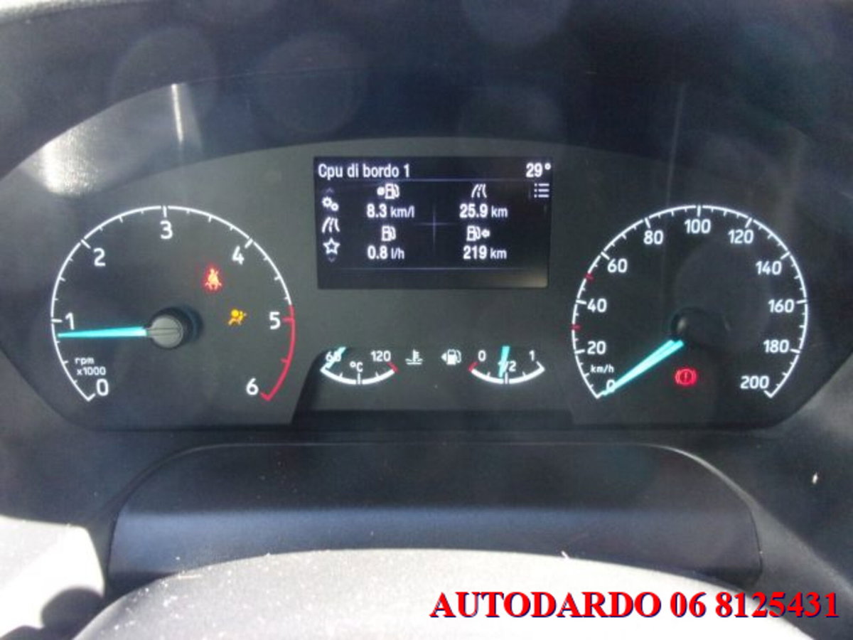Ford Transit Furgone 290 2.0TDCi EcoBlue PM-TM Furgone Trend (20)