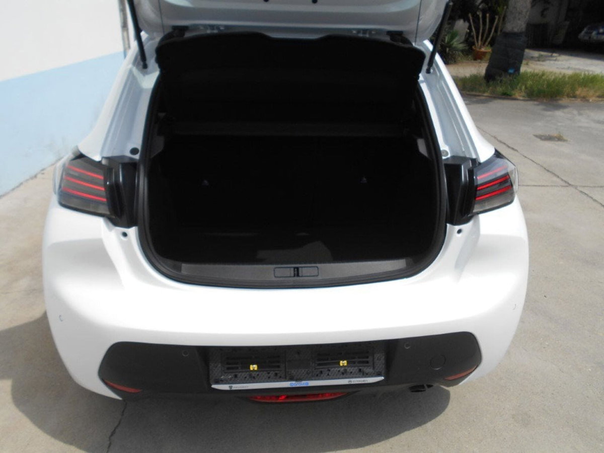 Peugeot 208 PureTech 100 Stop&Start 5 porte GT (13)