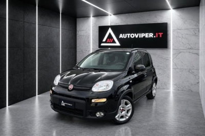 Fiat Panda 1.0 FireFly S&S Hybrid City Cross usata
