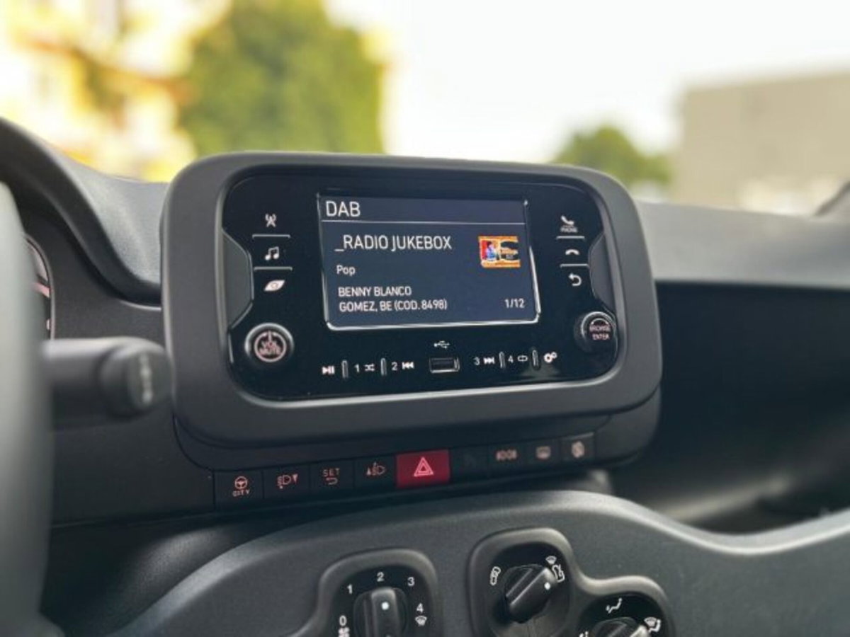 Fiat Panda 1.0 FireFly S&S Hybrid City Cross (12)