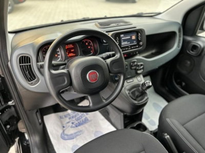 Fiat Panda 1.0 FireFly S&S Hybrid City Cross (8)