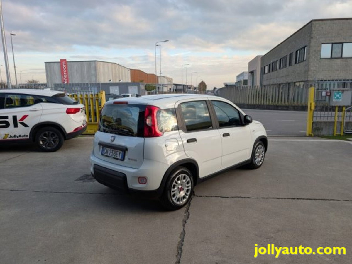 Fiat Panda 1.0 firefly hybrid s&s 70cv 5p.ti (5)