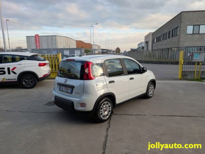 Fiat Panda 1.0 firefly hybrid s&s 70cv 5p.ti (5)