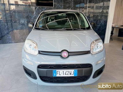 Fiat Panda 1.2 Easy usata