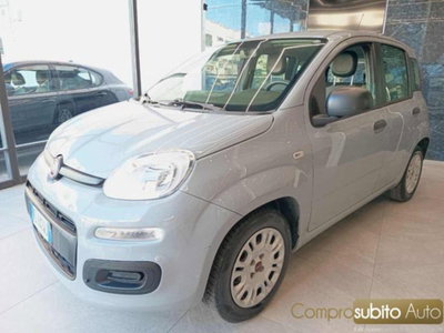 Fiat Panda 1.2 Easy (2)