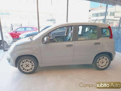 Fiat Panda 1.2 Easy (4)