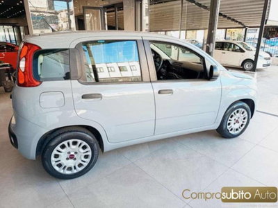 Fiat Panda 1.2 Easy (5)