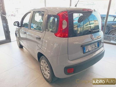 Fiat Panda 1.2 Easy (7)