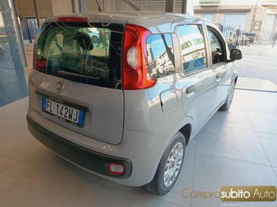 Fiat Panda 1.2 Easy (8)