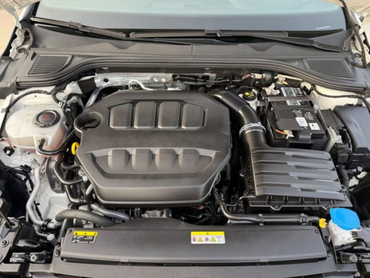 Volkswagen Golf 2.0 tsi GTI MT Ultimate 245cv (13)