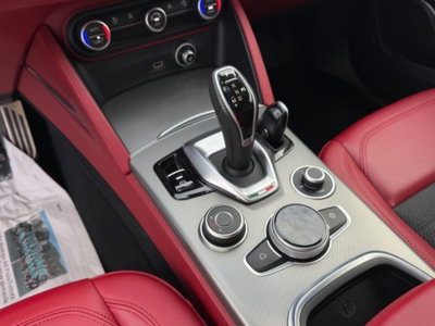 Alfa Romeo Stelvio Stelvio 2.2 Turbodiesel 190 CV AT8 Q4 Sprint (18)