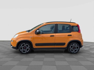 Fiat Panda 1.0 FireFly S&S Hybrid City Cross (2)