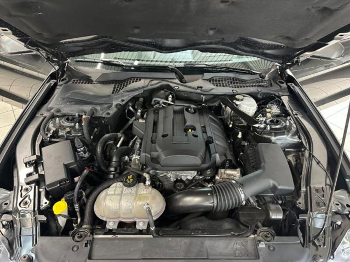 Ford Mustang Cabrio Convertible 2.3 EcoBoost aut. (6)
