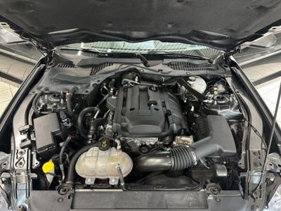 Ford Mustang Cabrio Convertible 2.3 EcoBoost aut. (6)