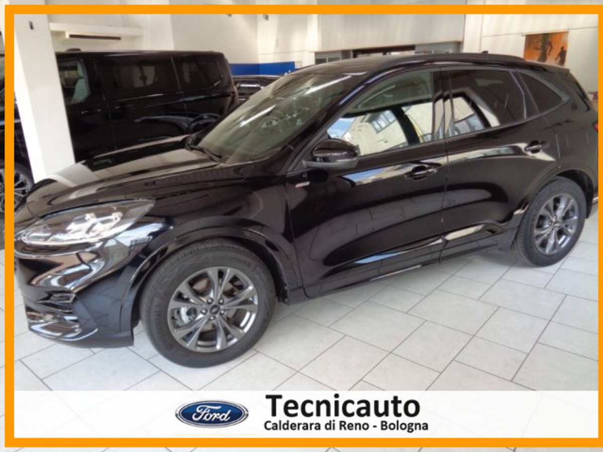 Ford Kuga 2.0 EcoBlue 120 CV aut. 2WD ST-Line X (7)