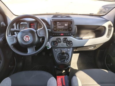 Fiat Panda 1.0 firefly hybrid s&s 70cv 5p.ti (5)