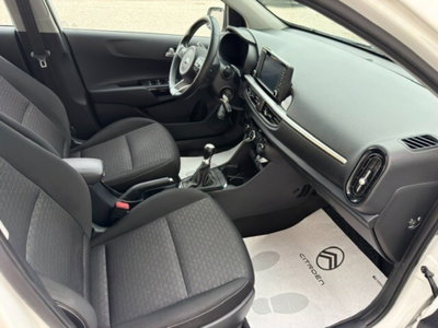 Kia Picanto 1.0 12V 5 porte X Line (5)