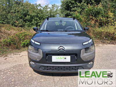 Citroen C4 Cactus BlueHDi 100 Shine (2)
