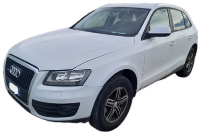 Audi Q5 2.0 TDI 170 CV quattro usata