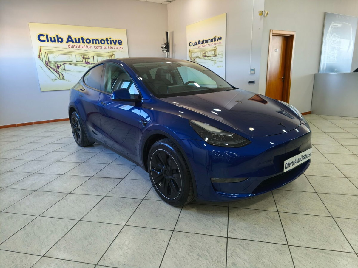 Tesla Model Y Long Range awd (2)