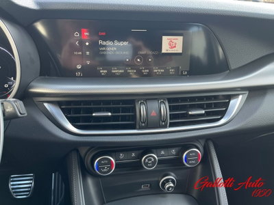 Alfa Romeo Stelvio Stelvio 2.2 Turbodiesel 210 CV AT8 Q4 Estrema (17)
