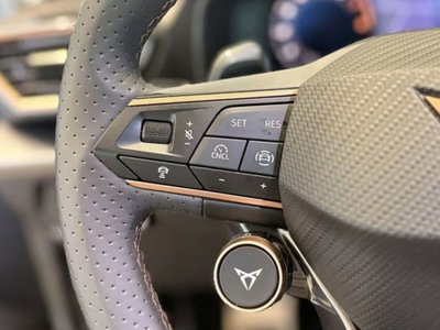 Cupra Formentor 2.0 tsi 4drive 204cv dsg (15)
