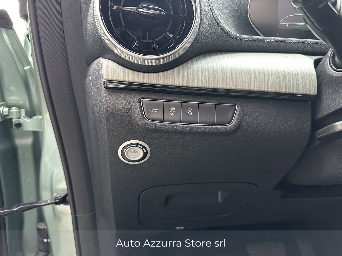 Evo Evo Spazio 1.5 turbo Gpl 167cv dct (18)