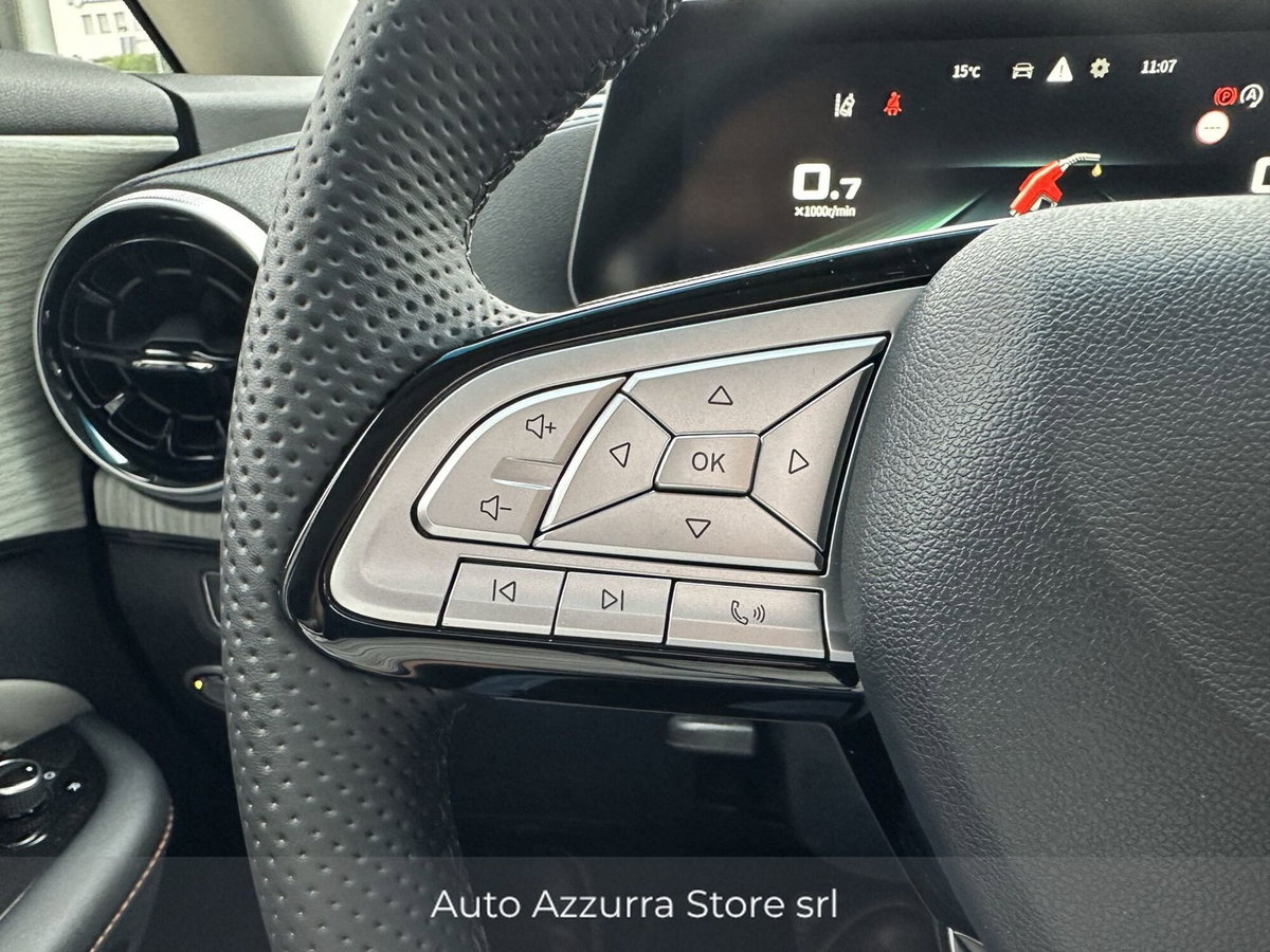 Evo Evo Spazio 1.5 turbo Gpl 167cv dct (19)
