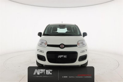 Fiat Pandina 1.0 firefly hybrid s&s 70cv (8)
