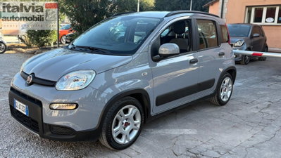 Fiat Panda Cross Cross 1.0 FireFly S&S Hybrid usata