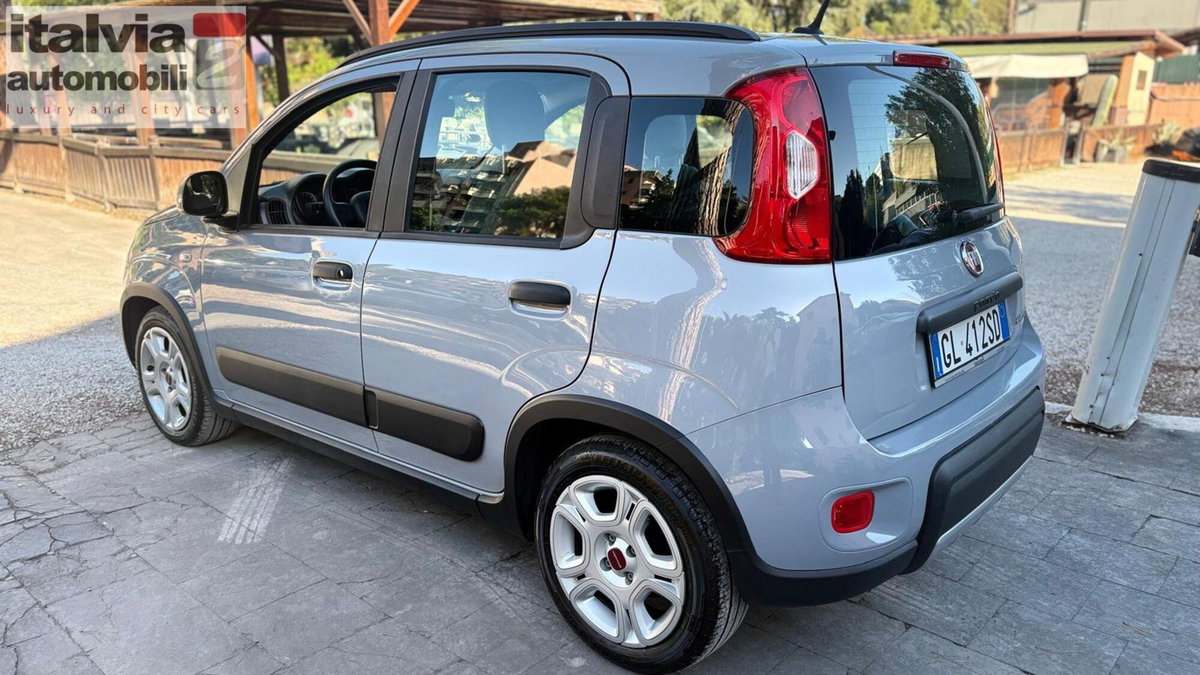 Fiat Panda Cross Cross 1.0 FireFly S&S Hybrid (4)