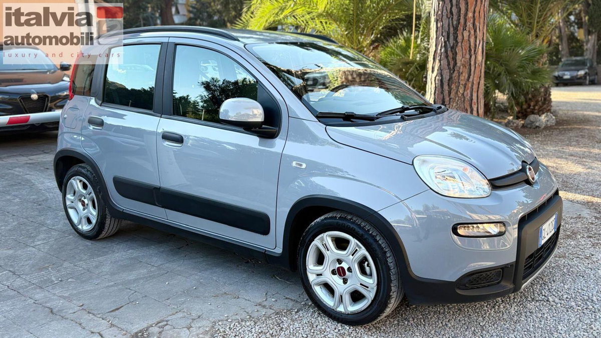 Fiat Panda Cross Cross 1.0 FireFly S&S Hybrid (6)