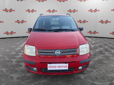 Fiat Panda 1.2 4x4 (2)