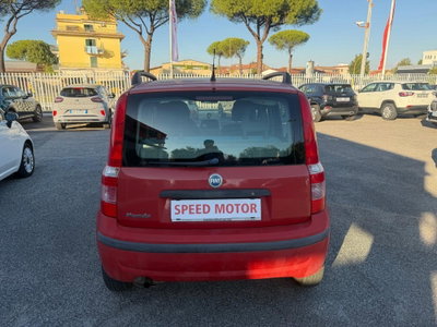 Fiat Panda 1.2 4x4 (6)