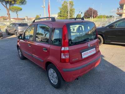 Fiat Panda 1.2 4x4 (7)