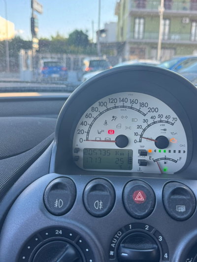 Fiat Multipla 1.6 16V Natural Power Dynamic (8)