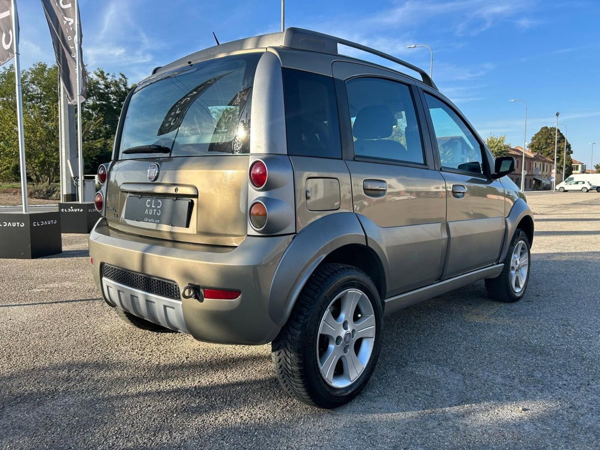 Fiat Panda 1.3 MJT 16V 4x4 Monster (4)