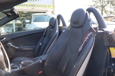 Mercedes-Benz SLK 200 Kompressor cat (10)