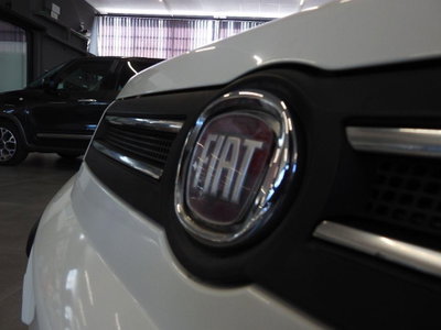 Fiat Panda 1.2 Dynamic Natural Power (5)