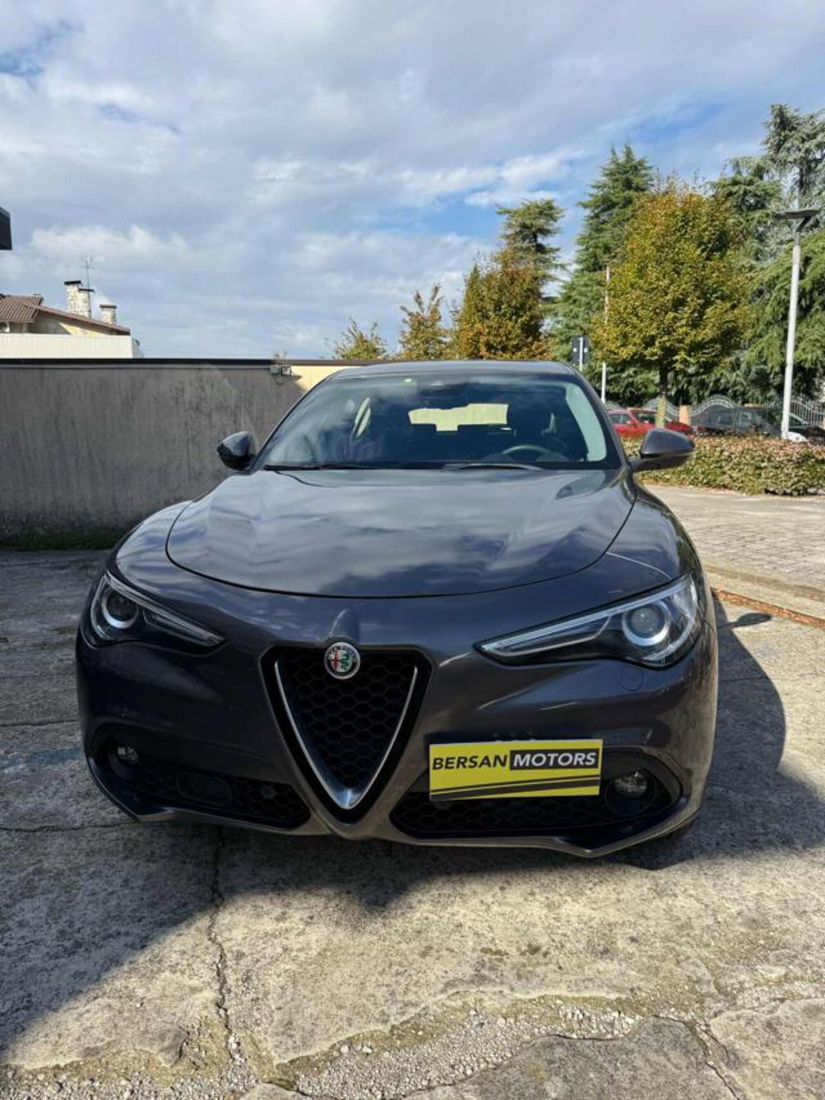 Alfa Romeo Stelvio Stelvio 2.2 Turbodiesel 210 CV AT8 Q4 Business (2)