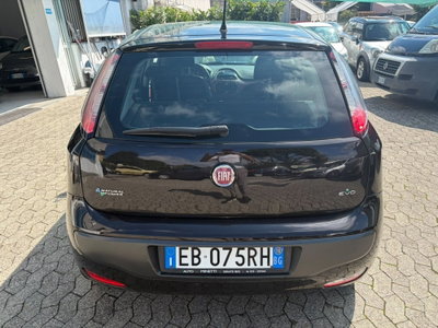 Fiat Punto Evo 1.4 5 porte Active Natural Power (5)