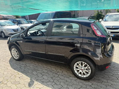 Fiat Punto Evo 1.4 5 porte Active Natural Power (6)