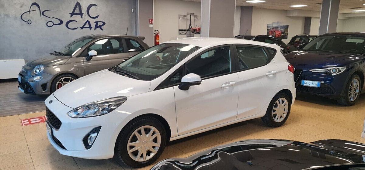 Ford Fiesta 1.5 EcoBlue 5 porte Business High (2)